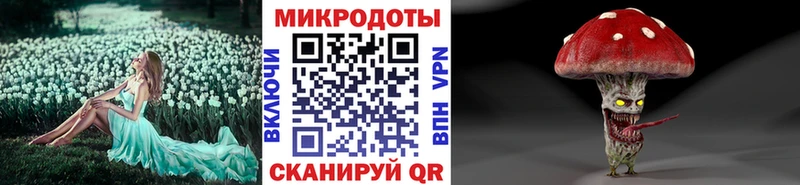 Галлюциногенные грибы Psilocybe  Кущёвская 