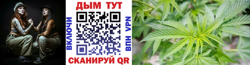 дарк нет какой сайт закладка Кущёвская Каннабис Bruce Banner MEGA зеркало